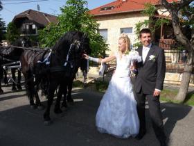 2010.06.12., Vőfély Sanyi, Sanyi, vőfélysanyi, vofelysanyi, Sanyi Vőfély, Vőfély Sándor, Sándor Vőfély, vőfély, vofely, vőfény, vőféj, násznagy, buli, lagzi, menyasszony, vőlegény, esküvő, lakodalom