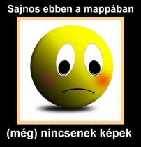 2014.08.16., Vőfély Sanyi, Sanyi, vőfélysanyi, vofelysanyi, Sanyi Vőfély, Vőfély Sándor, Sándor Vőfély, vőfély, vofely, vőfény, vőféj, násznagy, buli, lagzi, menyasszony, vőlegény, esküvő, lakodalom