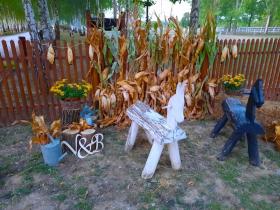 2020-09-11, Vőfély Sanyi, Sanyi, vőfélysanyi, vofelysanyi, Sanyi Vőfély, Vőfély Sándor, Sándor Vőfély, vőfély, vofely, vőfény, vőféj, násznagy, buli, lagzi, menyasszony, vőlegény, esküvő, lakodalom